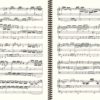 BuxWV 137 avec une seule tourne de page, Buxtehude, œuvre d'orgue, volume I