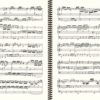 BuxWV 137 with only one page turn - Buxtehude œuvre d'orgue, volume I