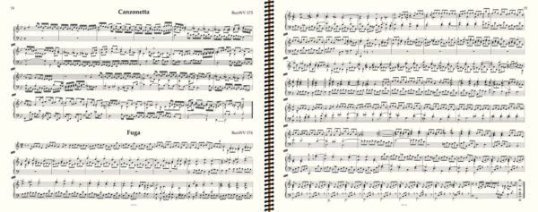 BuxWV 174 et 173 sans tourne de page, Buxtehude, œuvre d'orgue, volume II