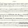 Vivaldi Printemps transcription pour orgue par R. Vergnet - Tournes de pages faciles