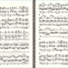 Widor - Symphonie n° 1 - Extrait (V. Marche Pontificale)