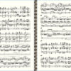 Widor - Symphony No. 1 - Extrait (V. Marche Pontificale)