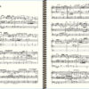 Widor Symphony no 2 - Extract (1rst mvt - Praeludium circulare)
