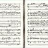 Widor Symphony No. 2 - Extract (3th mvt - Salve Regina)