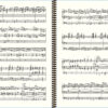 Widor Symphony No. 2 - Extract (Finale)