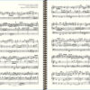 Widor Symphonie No. 3 - extract (V Primitive Fugue)