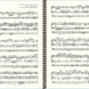 Widor Symphonie n° 3 - Extract (V Fugue Primitive)