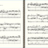 Widor Symphony No. 4 - Extract (Scherzo)