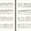 Widor Symphony no 6 - Extract