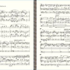 Widor Symphony No 7 - II. Choral