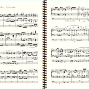 Vierne 5th Symphony Extract