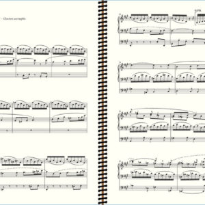 Vierne 5th Symphony Extract