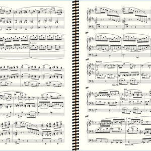 Vierne Symphony no 6 - Extrait