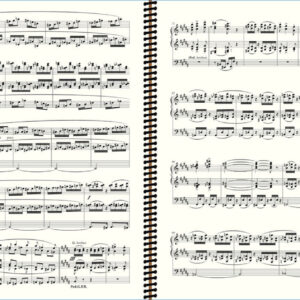 Vierne Symphony no 6 - Extrait