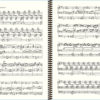 Vierne Symphony No. 1 Extract (VI. Final)