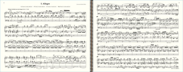 Vierne Symphony No. 2 Extract (I. Allegro)