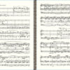 Vierne Symphonie n° 2 Extrait (II. Choral)