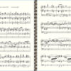 Vierne Symphonie n° 2 Extrait (V. Final)